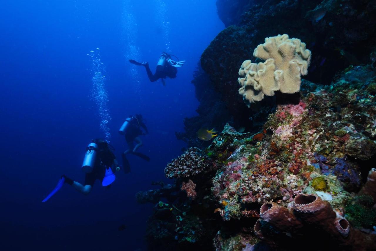Sanctum Una Una Eco Dive Resort Pulau Unauna Εξωτερικό φωτογραφία