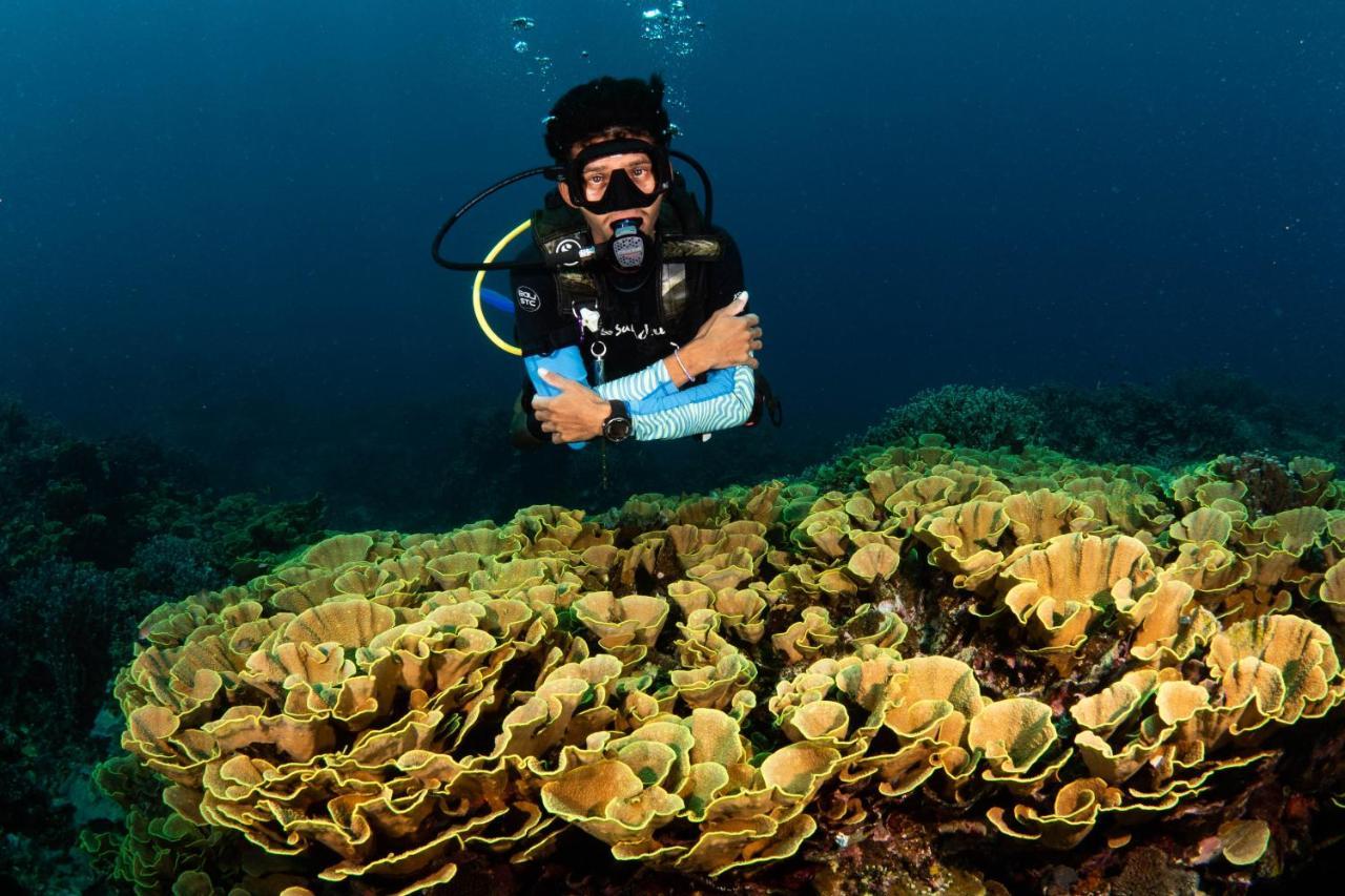 Sanctum Una Una Eco Dive Resort Pulau Unauna Εξωτερικό φωτογραφία