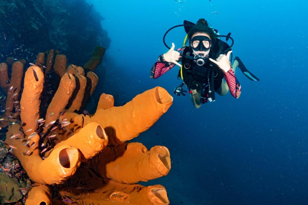 Sanctum Una Una Eco Dive Resort Pulau Unauna Εξωτερικό φωτογραφία