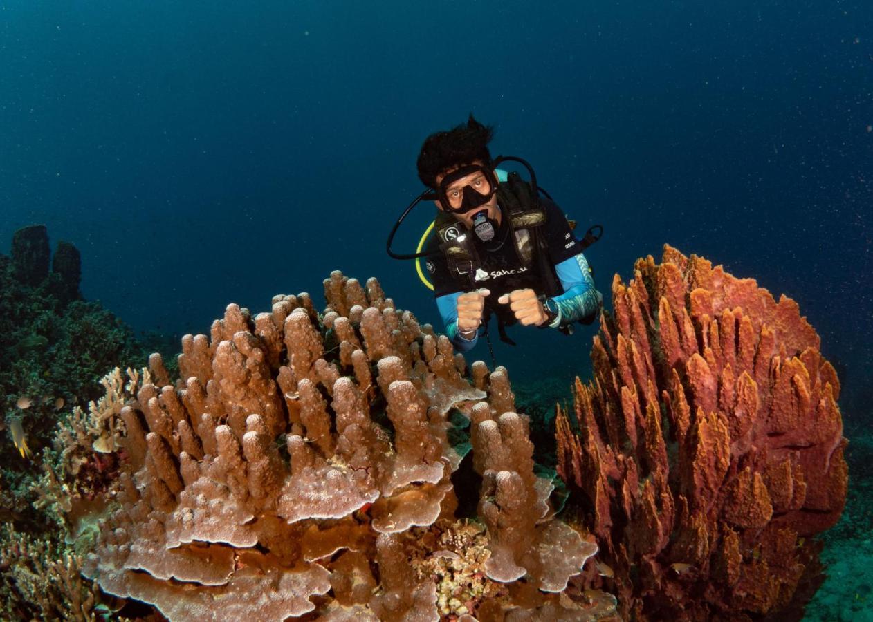 Sanctum Una Una Eco Dive Resort Pulau Unauna Εξωτερικό φωτογραφία