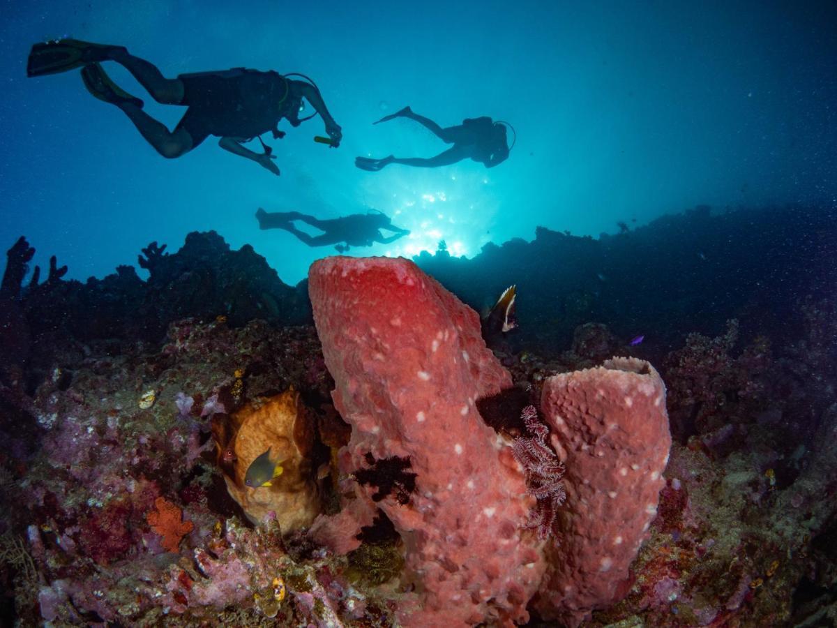 Sanctum Una Una Eco Dive Resort Pulau Unauna Εξωτερικό φωτογραφία