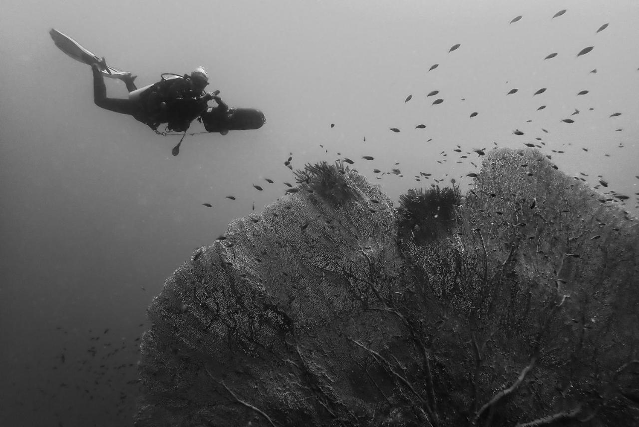 Sanctum Una Una Eco Dive Resort Pulau Unauna Εξωτερικό φωτογραφία