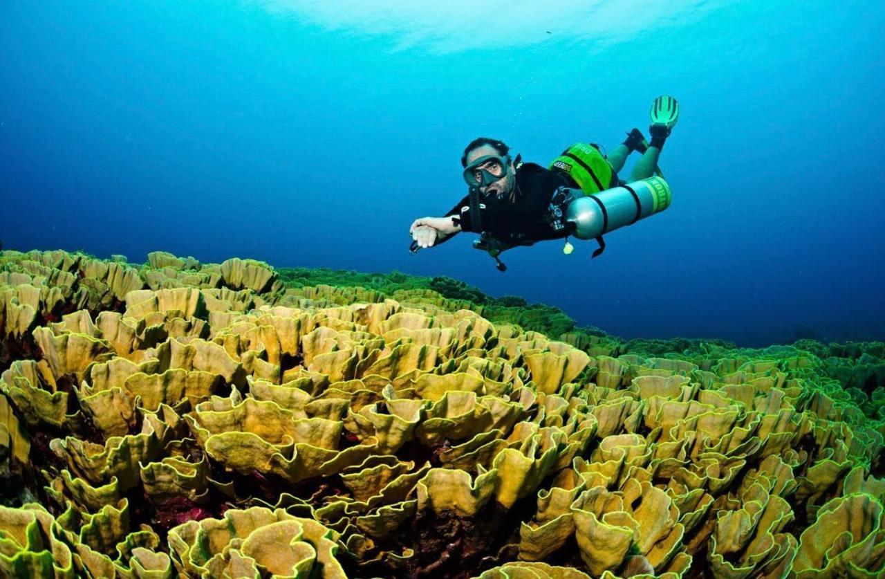 Sanctum Una Una Eco Dive Resort Pulau Unauna Εξωτερικό φωτογραφία