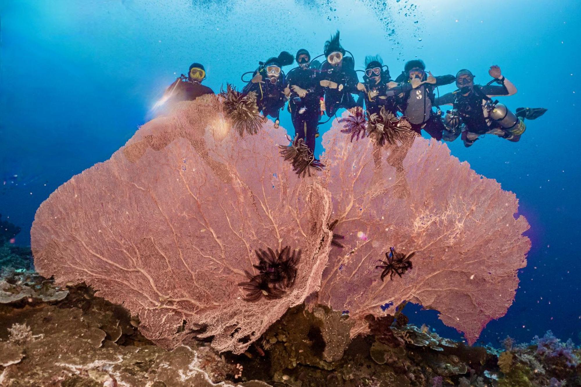 Sanctum Una Una Eco Dive Resort Pulau Unauna Εξωτερικό φωτογραφία