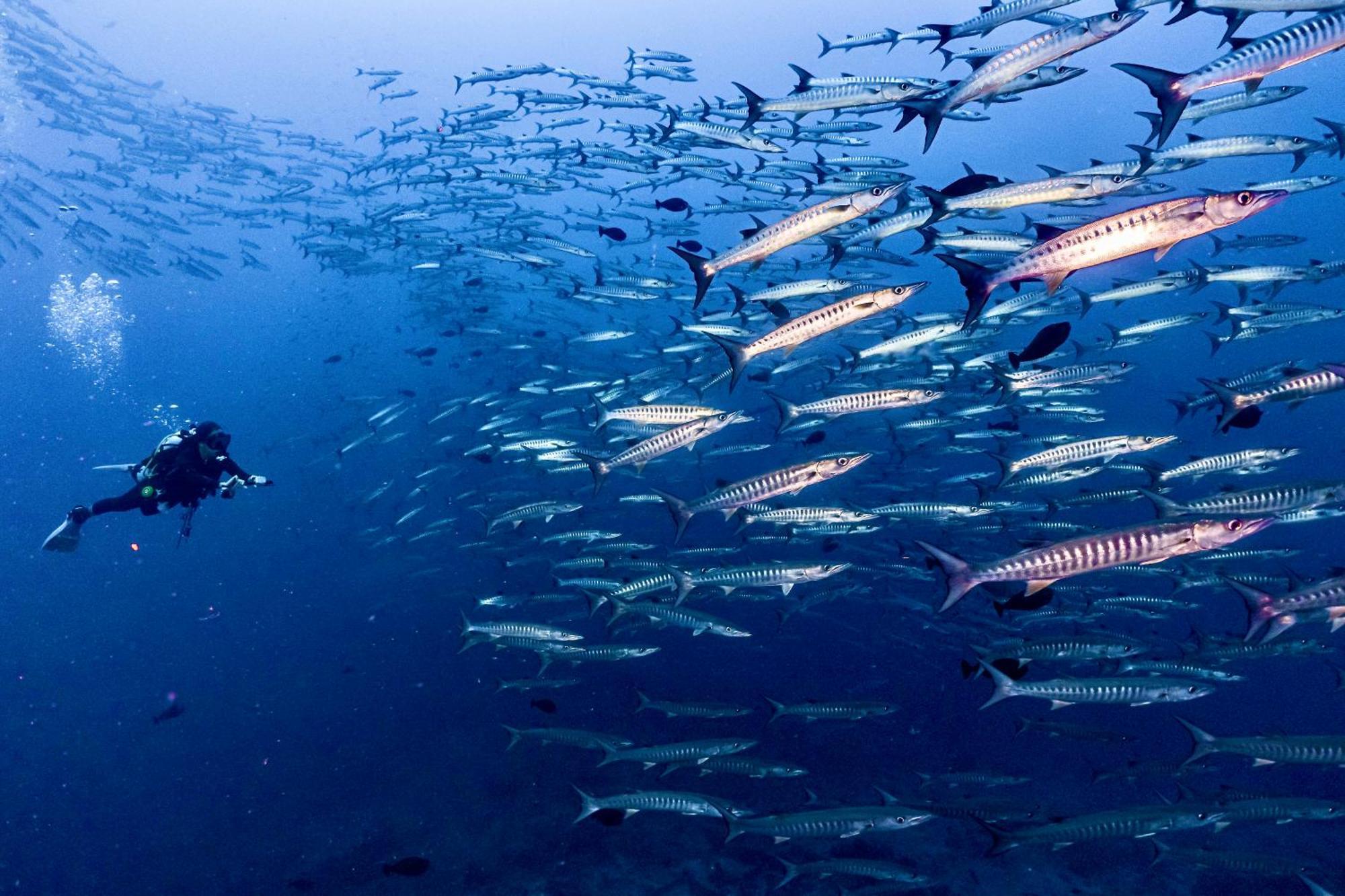 Sanctum Una Una Eco Dive Resort Pulau Unauna Εξωτερικό φωτογραφία
